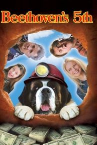 VER Beethoven 5: El perro buscatesoros (2003) Online Gratis HD