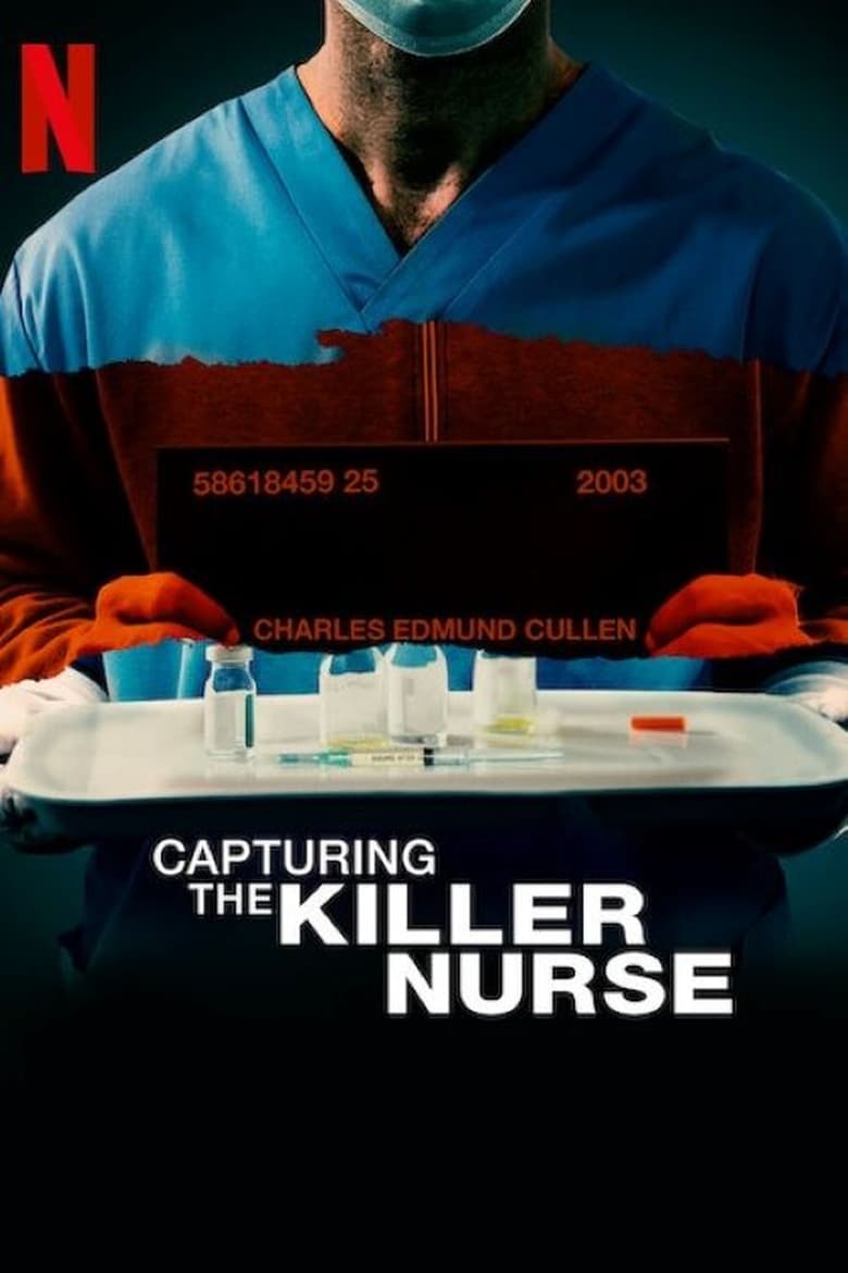 VER Capturing the Killer Nurse Online Gratis HD