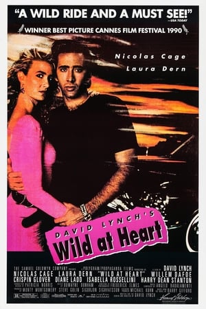 VER Corazón salvaje (1990) Online Gratis HD