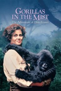 VER Gorilas en la niebla (1988) Online Gratis HD
