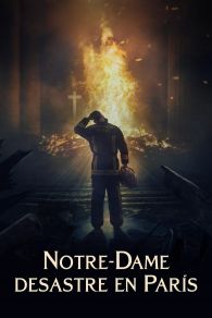 VER Notre-Dame: Desastre en París Online Gratis HD