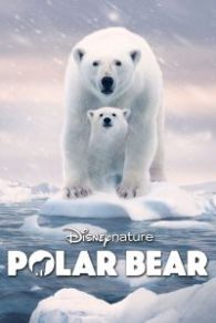 VER Polar Bear Online Gratis HD