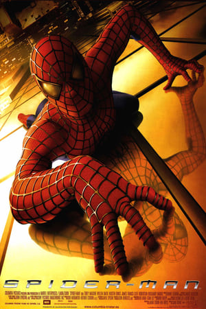 VER Spider-Man (2002) Online Gratis HD